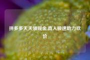 拼多多天天领现金,真人极速助力砍价