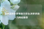 吉林省拼多多帮助力平台,拼多多助力网站推荐