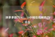 拼多多助力2025，24小时在线刷助力平台