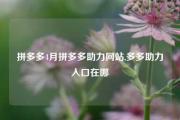 拼多多4月拼多多助力网站,多多助力入口在哪