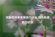 河南省拼多多帮助力平台,真人极速助力砍价