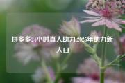 拼多多24小时真人助力,2025年助力新入口