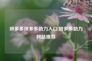 拼多多拼多多助力入口,拼多多助力网站推荐