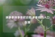 拼多多拼多多砍价群,多多助力入口在哪