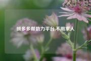 拼多多帮助力平台,不用求人