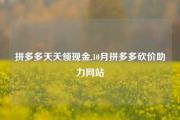 拼多多天天领现金,10月拼多多砍价助力网站