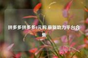 拼多多拼多多0元购,最新助力平台合集