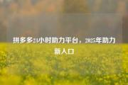 拼多多24小时助力平台，2025年助力新入口