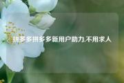 拼多多拼多多新用户助力,不用求人