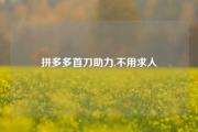 拼多多首刀助力,不用求人