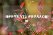 拼多多帮助力平台,多多助力入口在哪