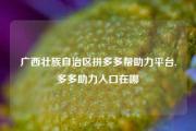 广西壮族自治区拼多多帮助力平台,多多助力入口在哪