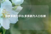 拼多多助力平台,多多助力入口在哪