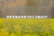 拼多多推金币助力怎么才能成功？