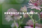 拼多多帮助力平台,真人极速助力砍价
