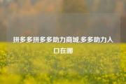 拼多多拼多多助力商城,多多助力入口在哪