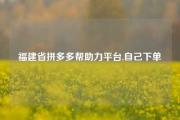 福建省拼多多帮助力平台,自己下单
