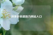 拼多多极速助力网站入口
