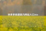 拼多多极速助力网站入口2026
