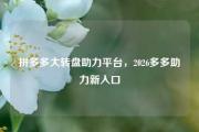拼多多大转盘助力平台，2026多多助力新入口