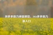 拼多多助力神器微信，2026多多助力新入口