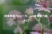 拼多多助力0.01一刀，2026多多助力新入口