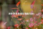 拼多多免费领礼物助力2025