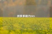 拼多多助力2025