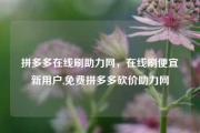 拼多多在线刷助力网，在线刷便宜新用户,免费拼多多砍价助力网