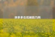 拼多多在线刷助力网