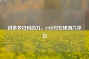 拼多多扫码助力，24小时在线助力平台