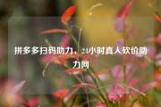 拼多多扫码助力，24小时真人砍价助力网