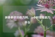 拼多多砍价助力网，24小时在线助力平台