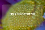 拼多多24小时砍价助力网