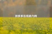 拼多多在线助力网