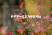 拼多多一键助力神器网站