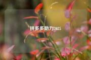 拼多多助力2025