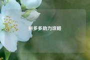 拼多多助力攻略