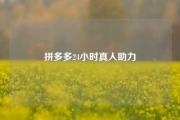 拼多多24小时真人助力