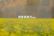 拼多多助力app