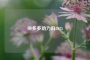 拼多多助力群2025