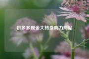 拼多多现金大转盘助力网站