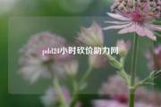pdd24小时砍价助力网