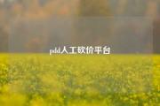pdd人工砍价平台