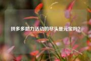 拼多多助力活动的尽头是元宝吗？