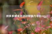 拼多多推金币活动帮助力平台2025