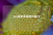 2025拼多多新用户助力