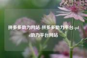 拼多多助力网站-拼多多助力平台-pdd助力平台网站