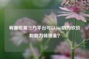 有哪些第三方平台可以pdd助力砍价和助力领现金？