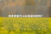 拼多多助力700元有成功的吗？